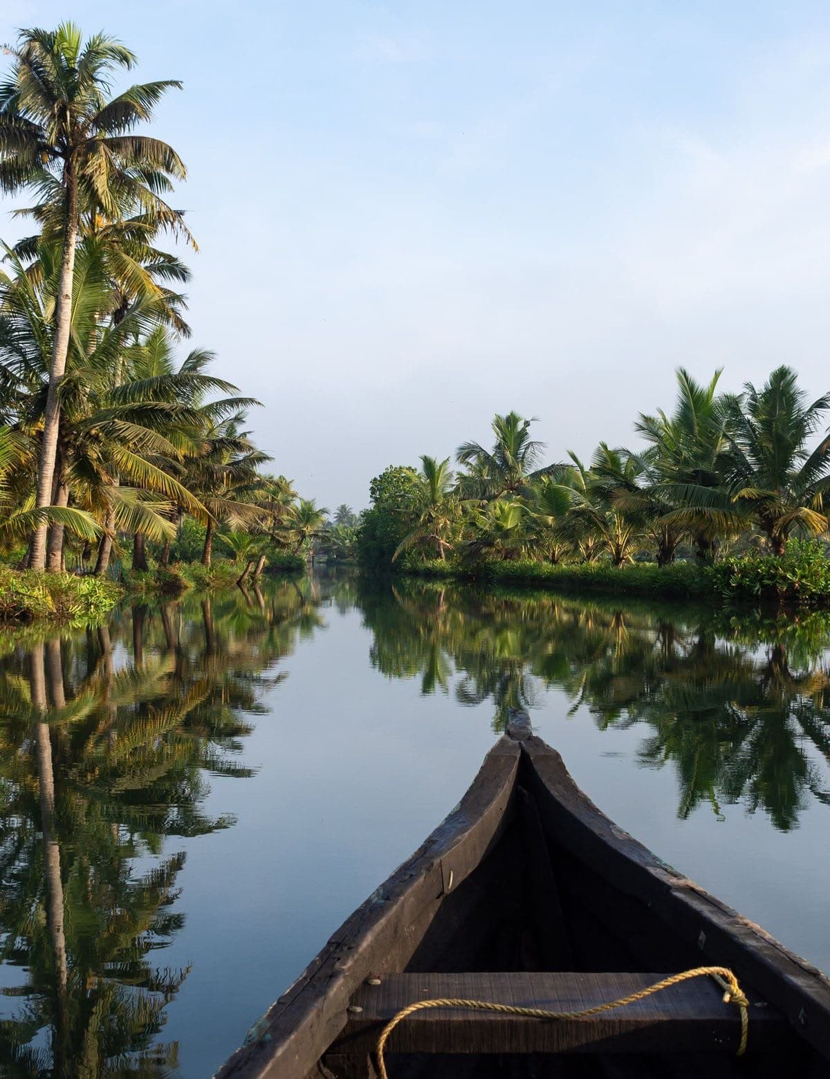Kerala: Hills to the Ocean Cliff highlight 2