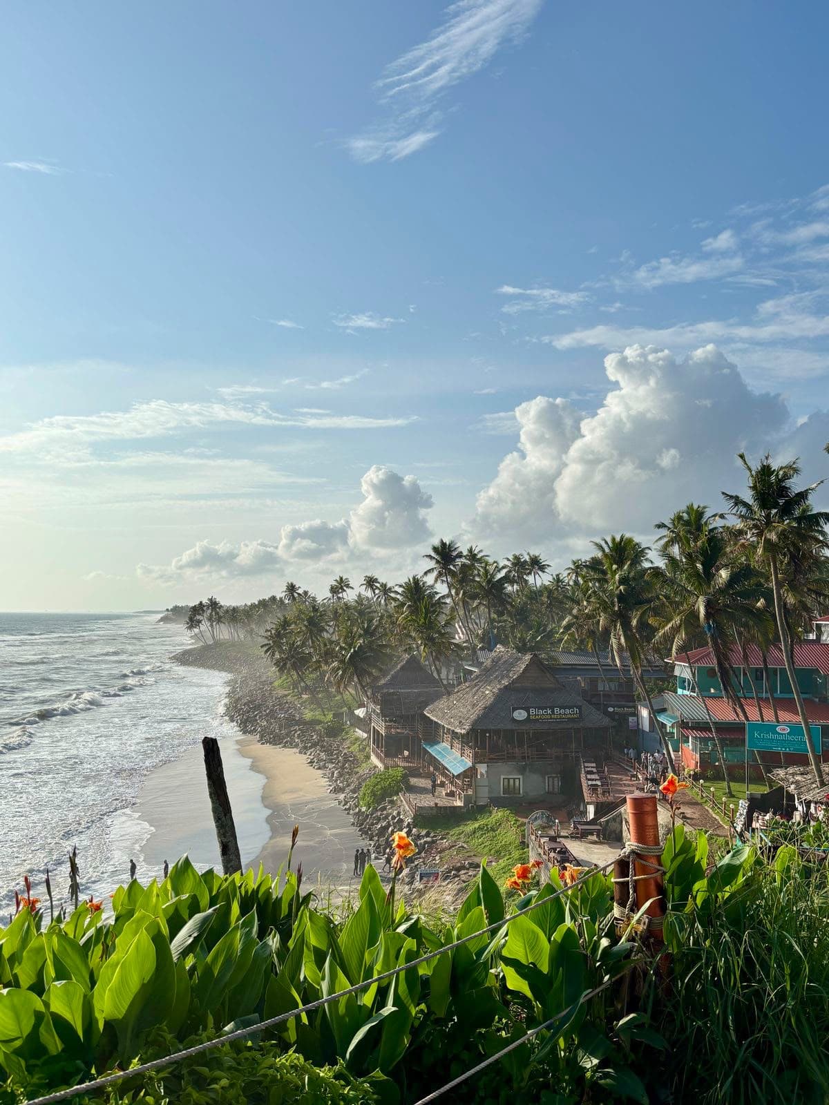 Kerala: Hills to the Ocean Cliff highlight 4