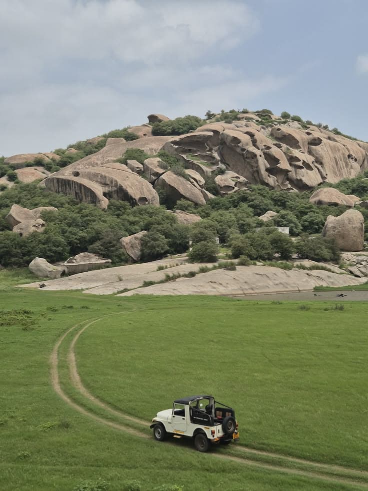 Udaipur: Whispers of the Lake & Jawai Safari highlight 3